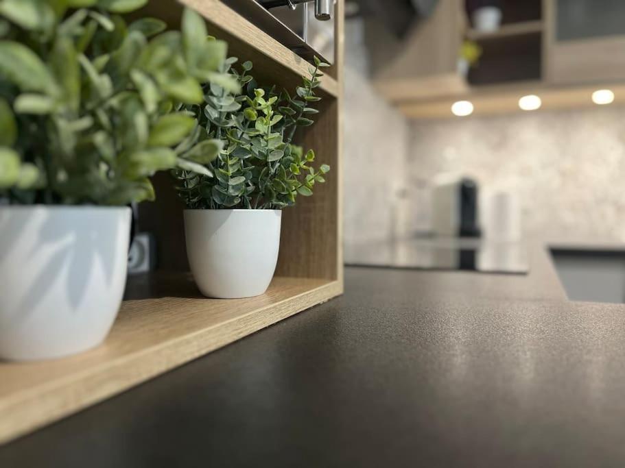 Appartement T2 Vue Panoramique Sur Annecy 塞诺德 外观 照片