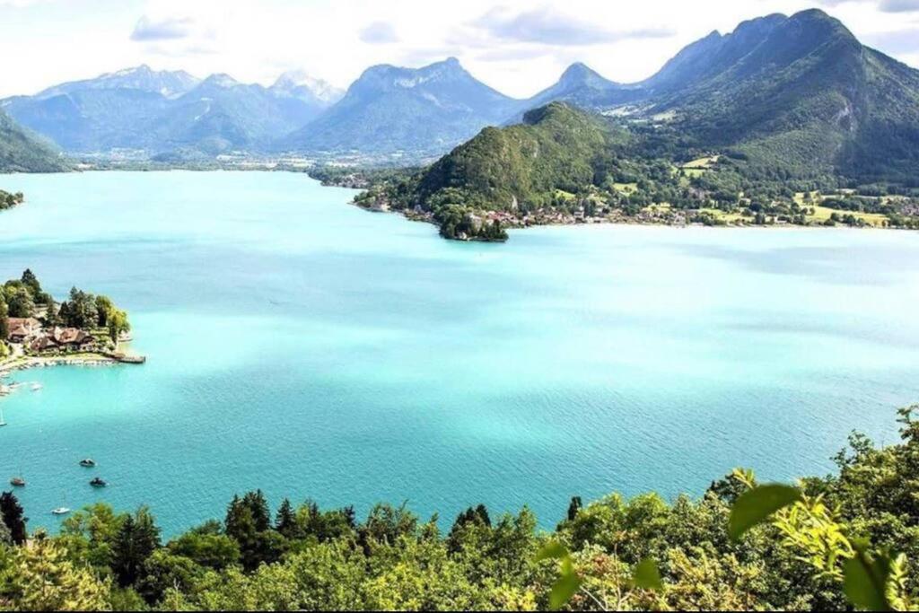 Appartement T2 Vue Panoramique Sur Annecy 塞诺德 外观 照片