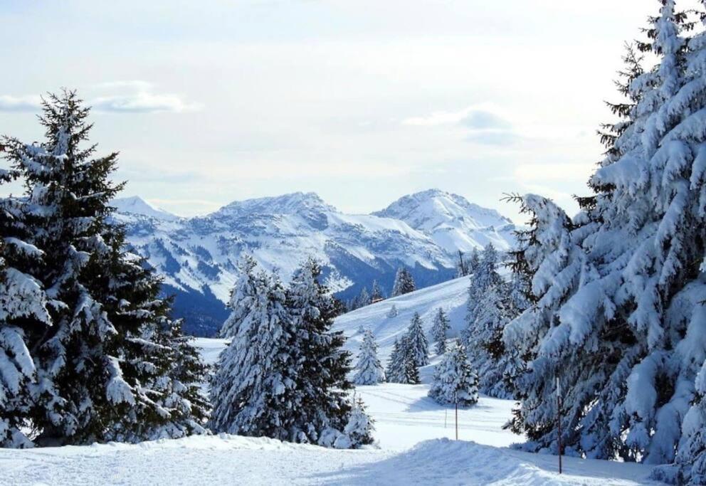 Appartement T2 Vue Panoramique Sur Annecy 塞诺德 外观 照片